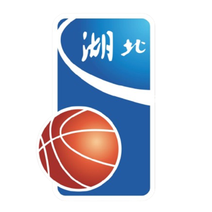湖北全运女篮logo