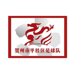 贺州市平桂区队