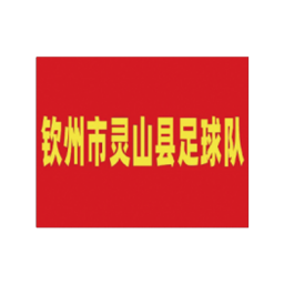 钦州市灵山县队