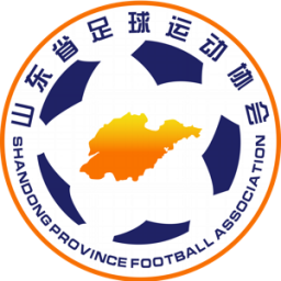 山东U20logo